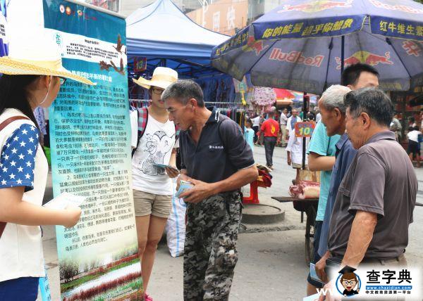 湖南師范大學三元學社護鳥營聲撼龍溪鋪1
