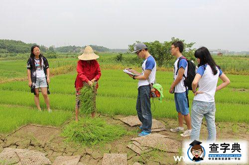 齊心協力干好事 認真實踐做調研2