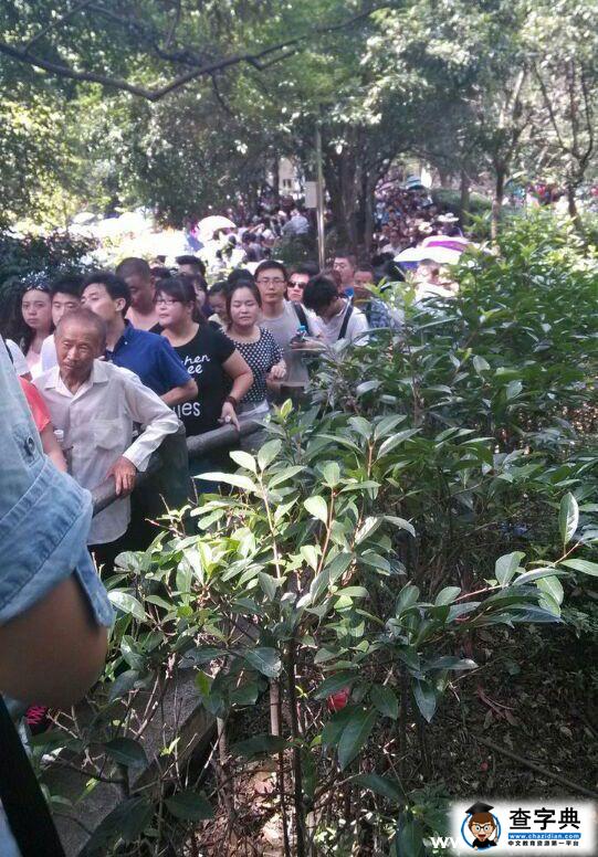 湘潭大學研究生赴韶山進行游客滿意度暑期社會調研1