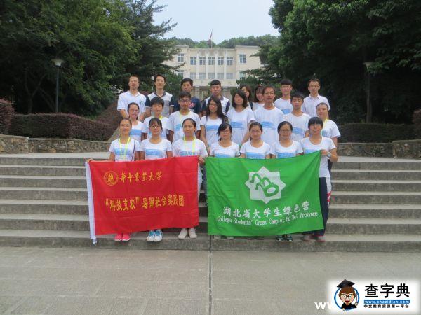湖北省大學生綠色營為“處理垃圾”走進大別山1