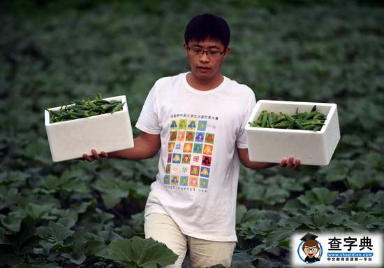 越來越多大學畢業生到基層就業 價值在基層閃光1