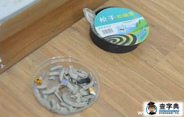 夏季考研必備十大裝備6