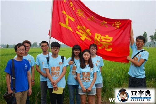 【組圖】不要讓落單的“燕子”再受傷——湖南農業大學工學院新青年團隊留守兒童安全問題調研兩日行11