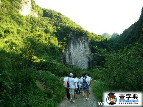 參觀家庭農場 學習金鯢養殖1