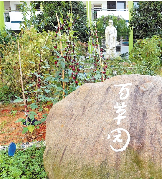 中醫成金華市丹溪小學必修課3