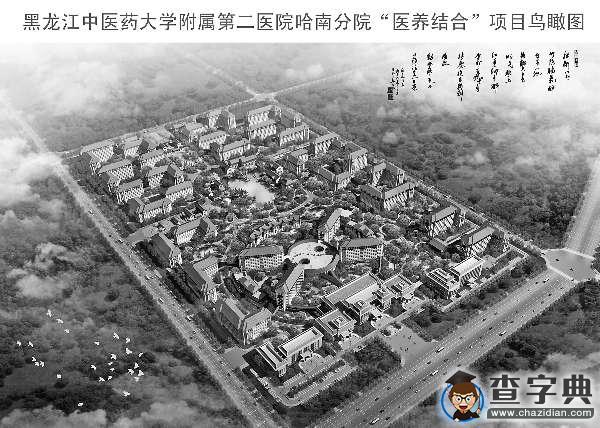 “以醫帶養- 醫養結合”模式開創龍江中醫藥健康養老產業新篇章1