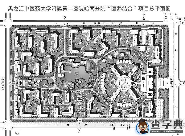 “以醫帶養- 醫養結合”模式開創龍江中醫藥健康養老產業新篇章2