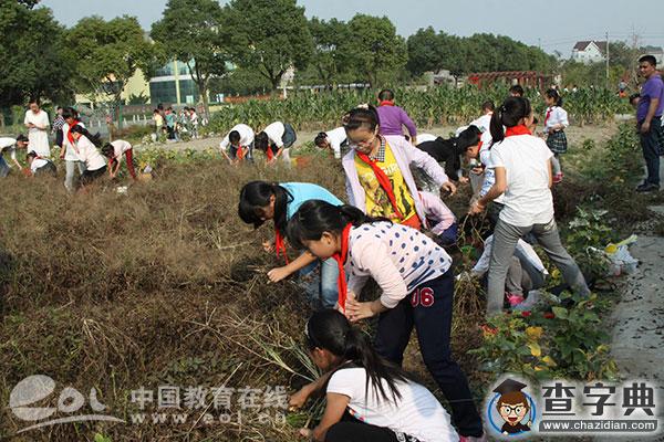 我是“校園小農夫” 蕭山衙前二小舉辦首屆“豐收節”活動1