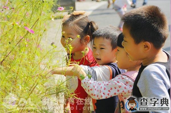 國信嘉園：親親陽光愛自然1