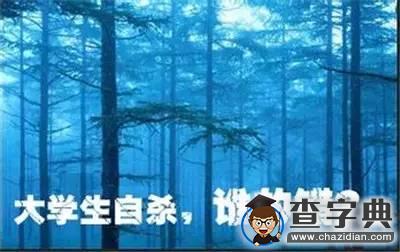 河南省教育廳通報“大一新生輕生”調查情況3