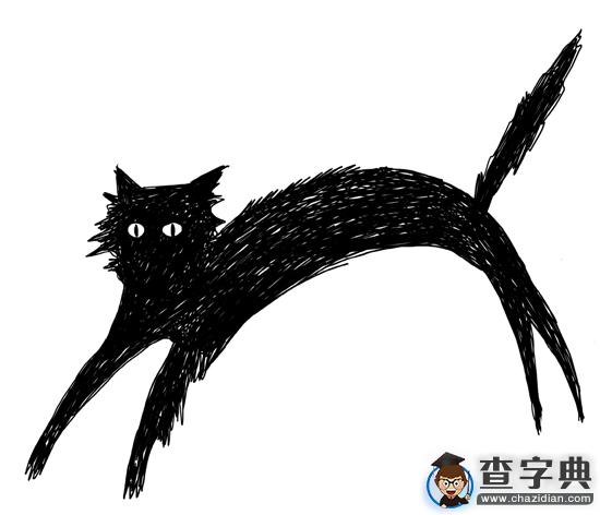 杭州知名民辦學校少年虐貓視頻網絡瘋傳1