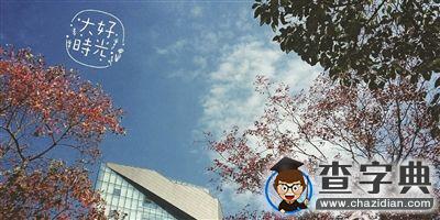 南大等高校改編《南山南》歌詞 官微合伙賣萌1