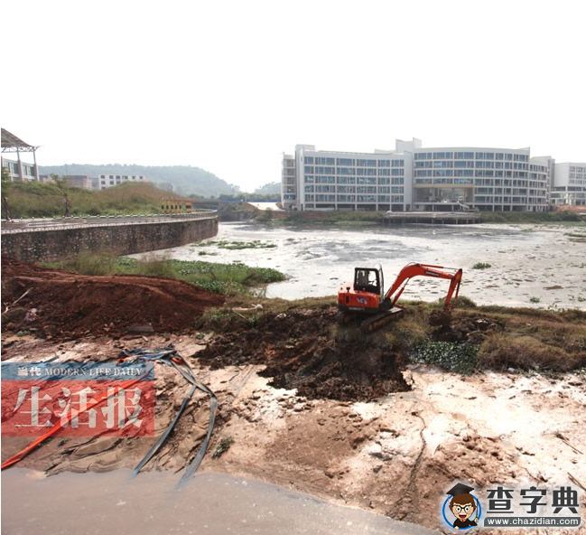 廣西財經學院相思湖校區內湖污染嚴重 臭氣熏天1