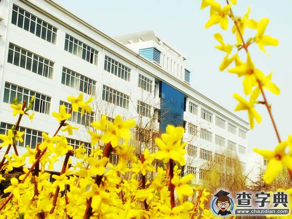 首屆駐石高校顏值大比拼，石家莊理工職業學院奪冠3