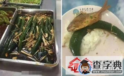 天津高校飯堂現奇葩菜整條青瓜炒大蔥1