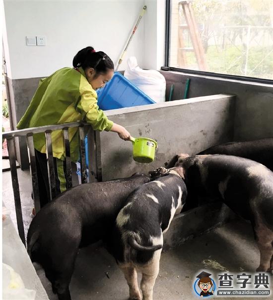 濮家小學官寵：我很愛它，可我真受不了那個味兒3