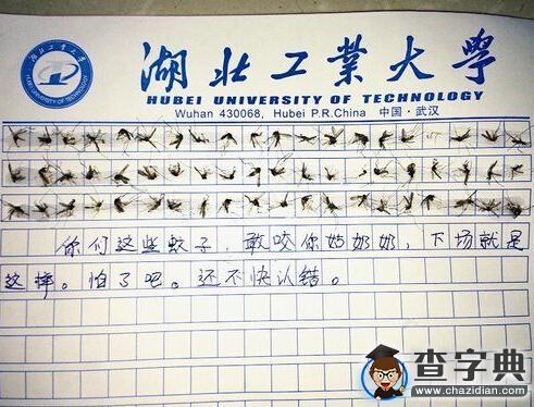 大一女生用60只蚊子寫作文1