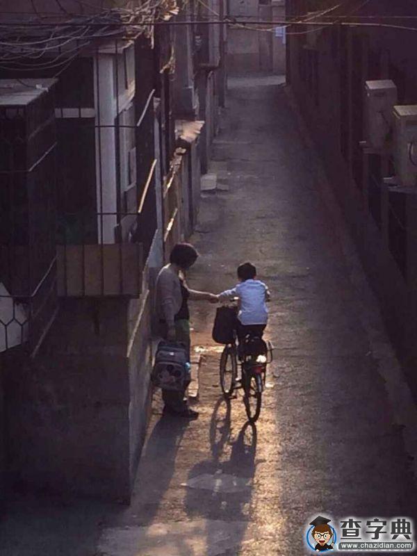 濱州學院：大學生應敢于扶起“摔倒的道德”1