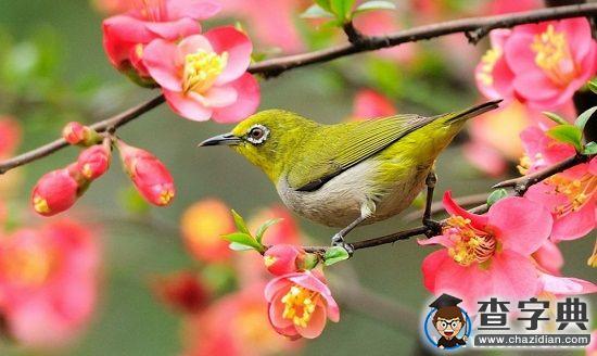 濰坊學院：今天，你感恩了嗎？2
