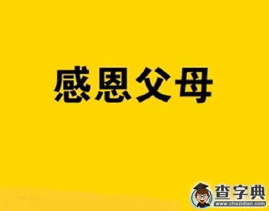 你的奉獻 我來感恩10