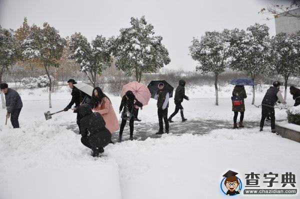 臨沂大學音樂學院 雪后天冷情卻暖——組織同學掃雪1