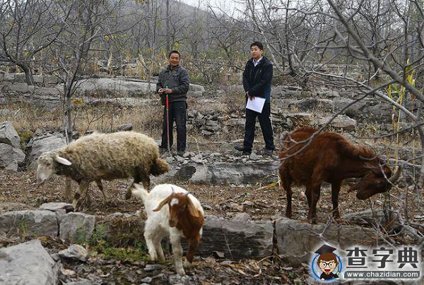 中石大校友金棟：登上新聞聯播的山村“第一書記”10