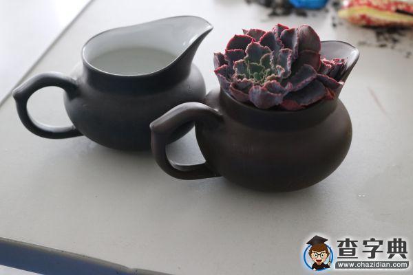 東科無我茶會：清茶一杯 茗香醉人4