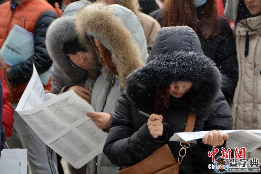 3萬畢業生零下15度排長隊求職4