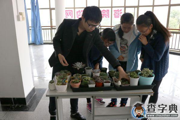 東科無我茶會：清茶一杯 茗香醉人5
