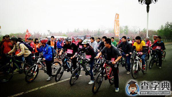 單車泰醫：雙腳踏出綠色青春13