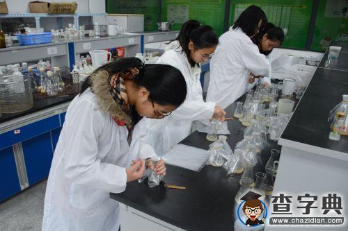 與試管花卉來場親密接觸1