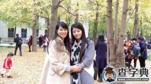 賞銀杏千姿 看人生百態4