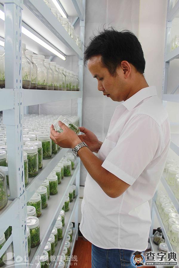 浙農林畢業生胡重九：致力于打造植物組培界的“新東方”3