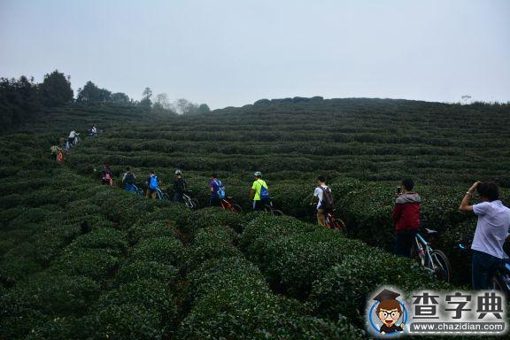 宣戰九峰山——沒有遇見就沒有故事2