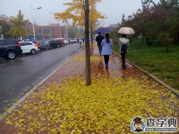 愛上了濱院的夜4