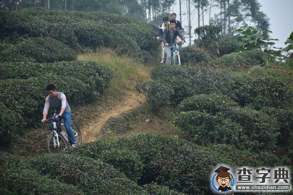 宣戰九峰山——沒有遇見就沒有故事4
