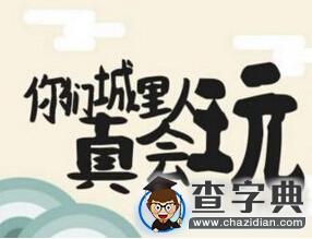 “主要看氣質”的大學專業1