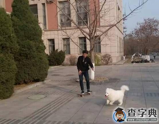 渤海大學滑板交流賽，多校滑板愛好者齊聚一堂！2