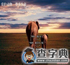 2016考研英語：英語一作文預測(大作文)5