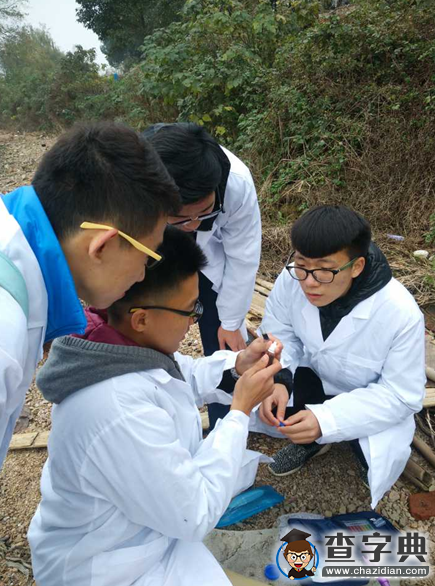 武昌理工學院5名大學生對湯遜湖進行“體檢”  呼吁保護湖泊1