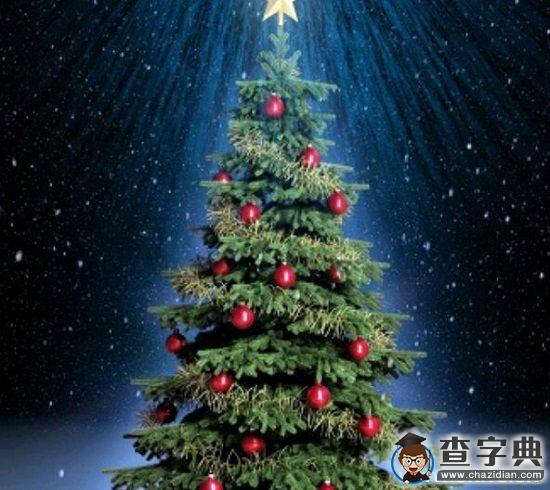 炫彩圣誕，繽紛你我4