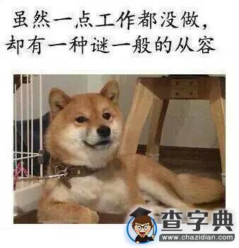 四六級吐槽大會 那些年我們報名只為體驗真題2