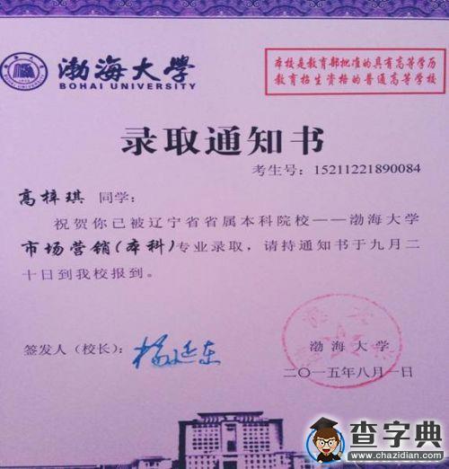 [我的青春]高梓琪：當青春走過20151