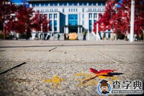 [我的青春]歐陽毅：我在哈工程這一年5