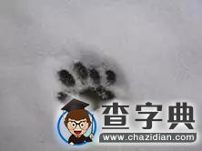 感受到了嗎？大學里的小確幸10