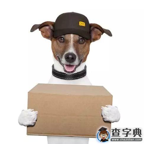 感受到了嗎？大學里的小確幸8
