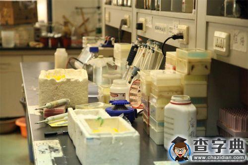 華中農業大學園林院學術年會展現光影科研路10