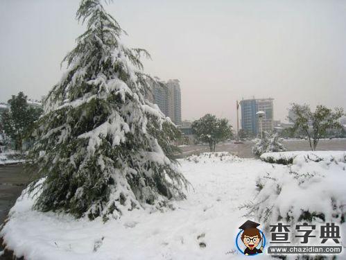 [我的青春]朱磊：是夢還是現實1