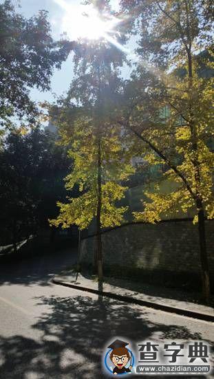 [我的青春]卞玉：青春 成長5
