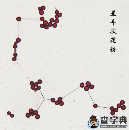 華中農業大學園林院學術年會展現光影科研路8